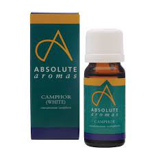Absolute Aromas Camphor Oil 10ml