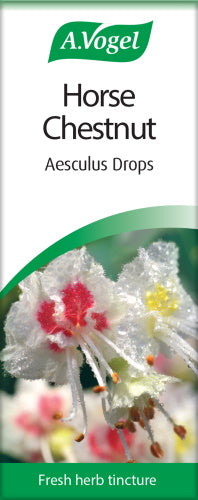 Horse Chestnut Aesculus drops Extract of fresh Aesculus seeds (conkers) 50ml