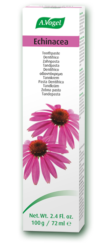 Echinacea toothpaste Fresh echinacea extract and essential oils