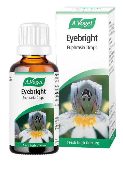 Eyebright - Euphrasia drops Extract of fresh Euphrasia officinalis