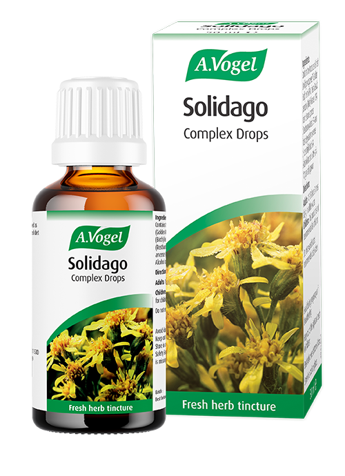 Solidago, birch and other herbs Fresh herb tincture from organically grown and wild-harvested herbs