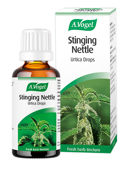 Stinging Nettle Extract of freshly harvested Urtica dioica